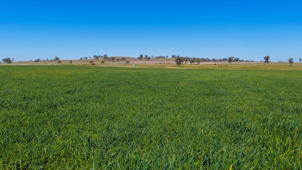 387 Soldiers Settlement Road Tamworth NSW 2340 - Image 1