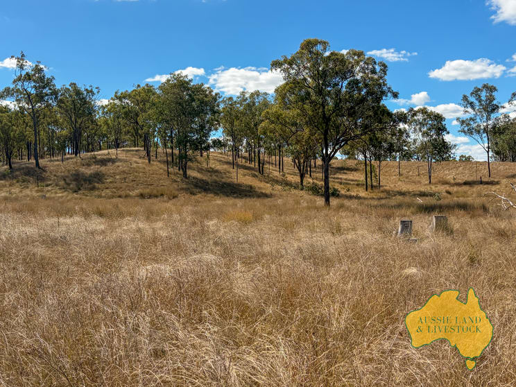 Branch Creek QLD 4625 - Image 3