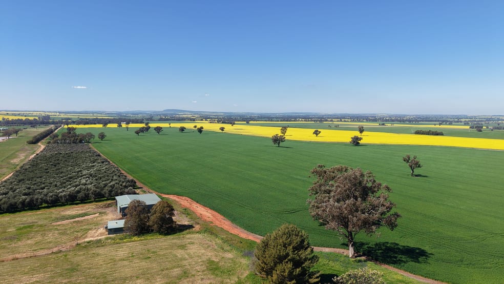 Click to view all images Elambone Homestead, Gerrybang Road Grenfell NSW 2810 - Image 3
