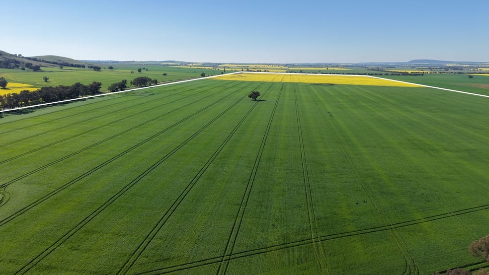 Click to view all images Bobelar South, 1 Bobelar Lane Grenfell NSW 2810 - Image 2