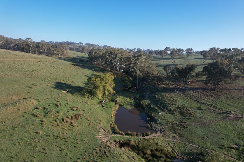 Click to view all images 1414 Mid Western Highway Bathurst NSW 2795 - Image 2