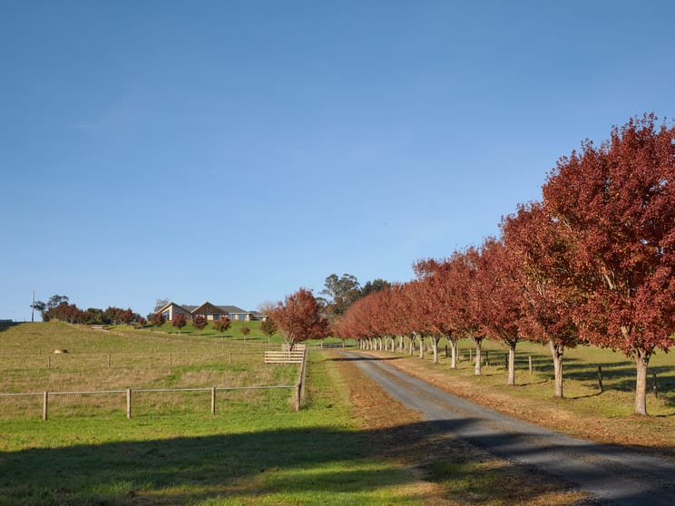 Click to view all images 331 Warragul-Lardner Road Warragul South VIC 3821 - Image 3