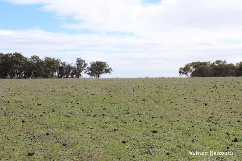 Click to view all images Lot 4031 Jackadine Farm Pingelly WA 6308 - Image 3