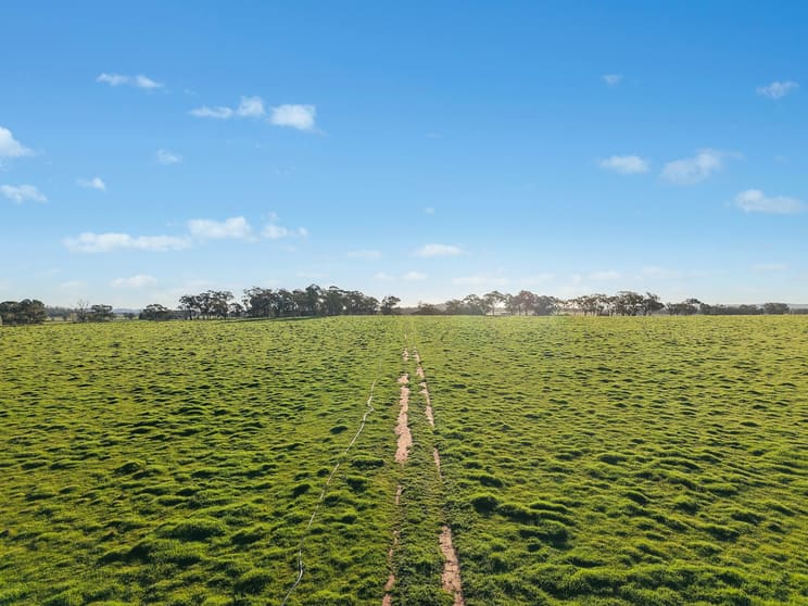 Click to view all images 2510 Henry Lawson Drive Gulgong NSW 2852 - Image 2