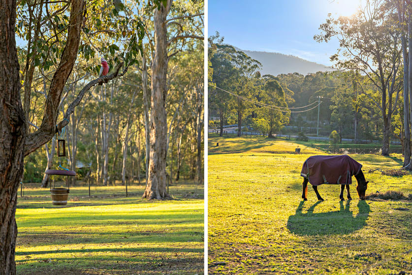 Click to view all images 2 Black Rock Road Martins Creek NSW 2420 - Image 3