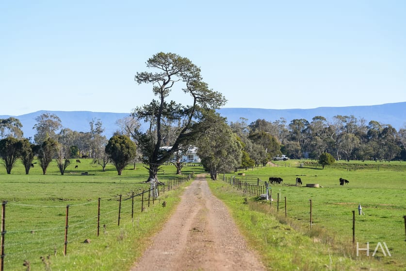 Click to view all images 709 Illawarra Road Longford TAS 7301 - Image 2