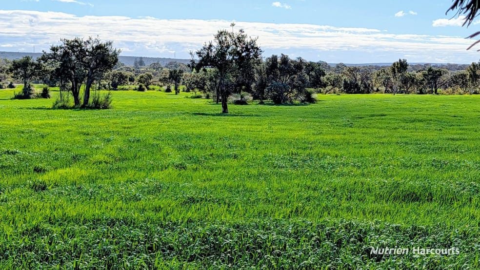 Click to view all images Lot 9818 Telephone Road Neergabby WA 6503 - Image 2