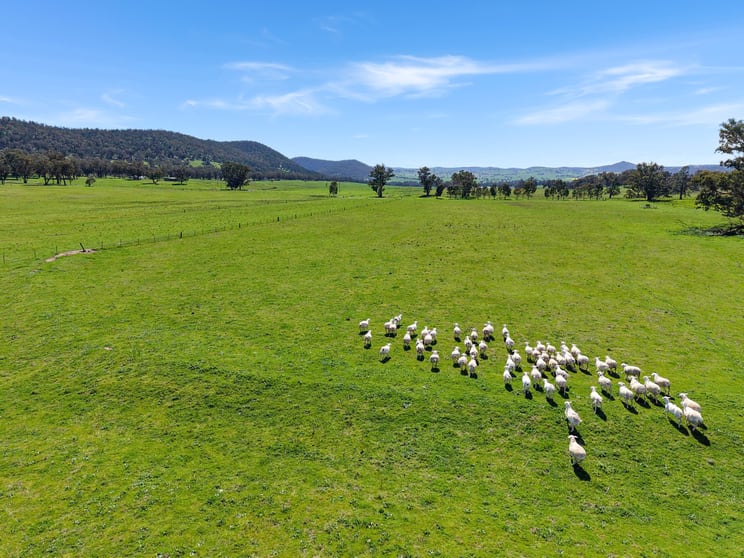 Click to view all images 223 Rodwells Road Murga NSW 2864 - Image 1