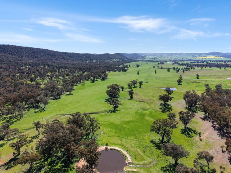 Click to view all images 223 Rodwells Road Murga NSW 2864 - Image 2