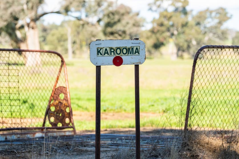 Click to view all images 312 Merri Meric Road Henty NSW 2658 - Image 1