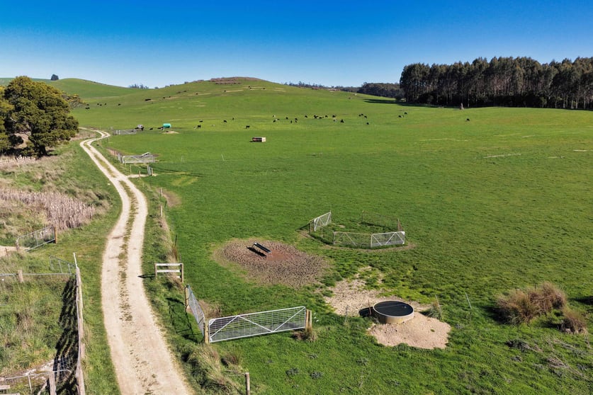 Warrentinna Road Winnaleah TAS 7265 - Image 2