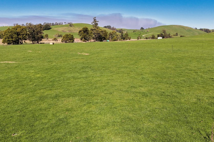 Warrentinna Road Winnaleah TAS 7265 - Image 3
