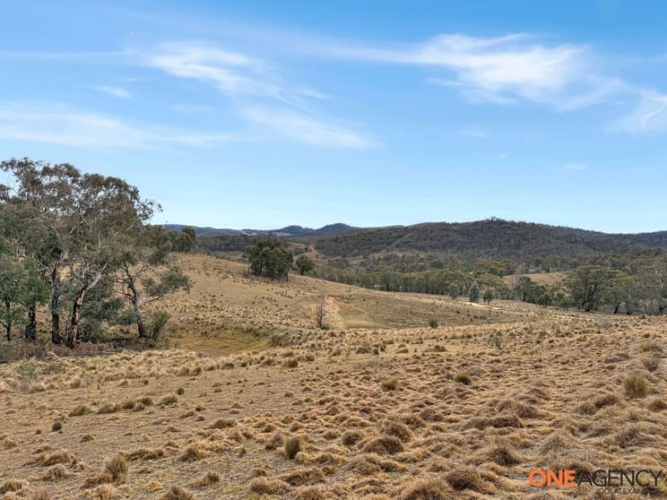 20 Good Good Road Jerangle NSW 2630 - Image 2