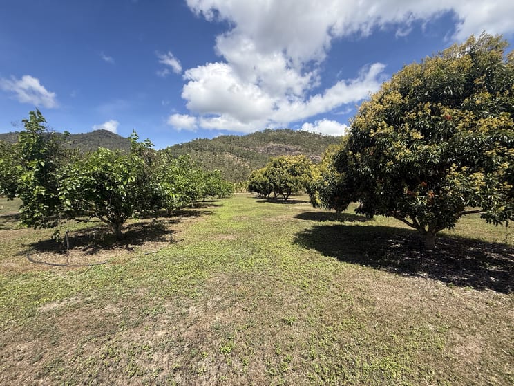 Click to view all images Murray Upper QLD 4854 - Image 1