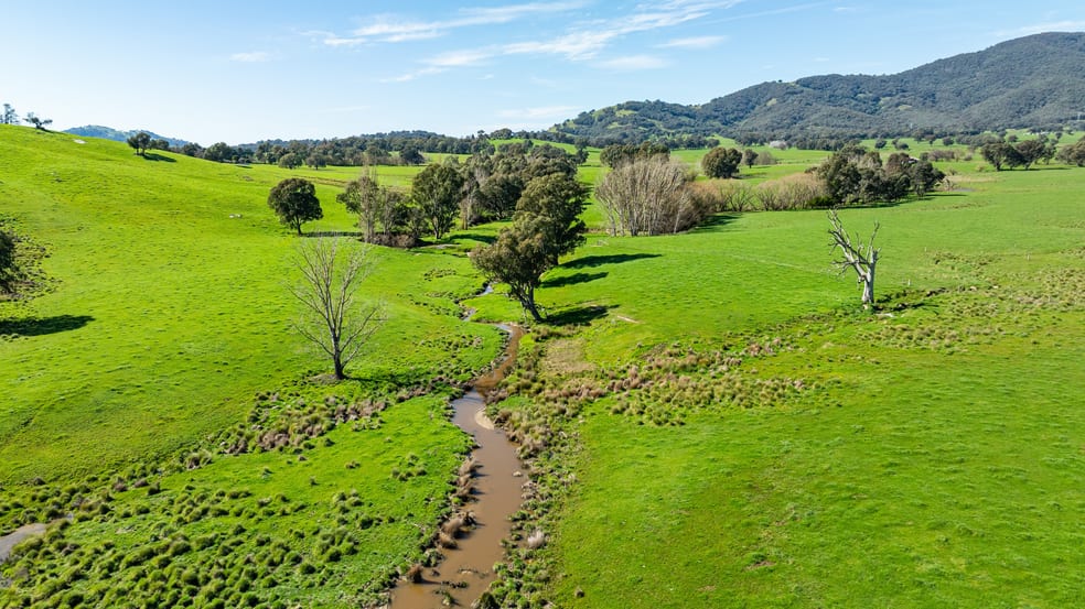 Click to view all images 355 Lindsay Road Staghorn Flat VIC 3691 - Image 3