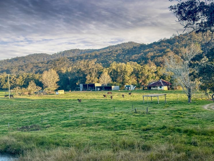Click to view all images 256 Batar Creek Road Batar Creek NSW 2439 - Image 2