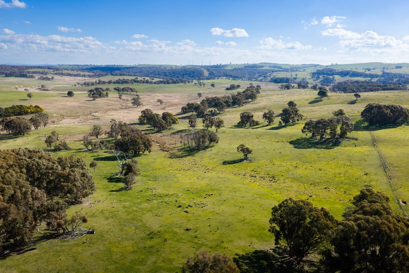 Click to view all images Lot 2 / 1116 Bannister Lane Gurrundah NSW 2581 - Image 3