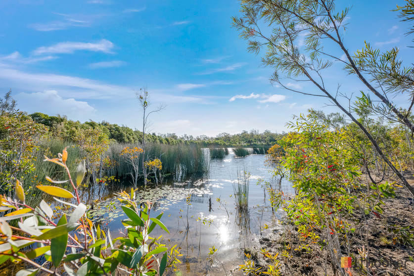 13/ Barnards Road, Mooreland Moorland QLD 4670 - Image 3