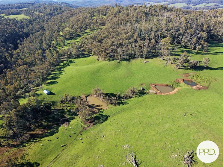 Click to view all images 1020/Courabyra Road Courabyra NSW 2653 - Image 1