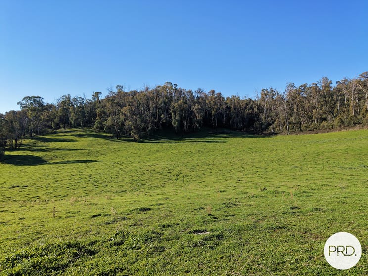 Click to view all images 1020/Courabyra Road Courabyra NSW 2653 - Image 2
