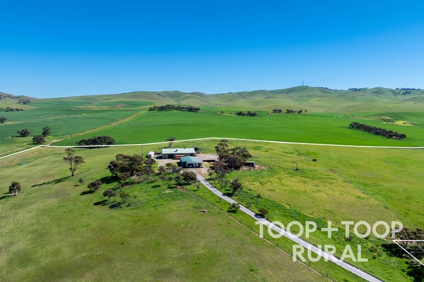 Click to view all images 965 Eudunda Road Dutton SA 5356 - Image 2