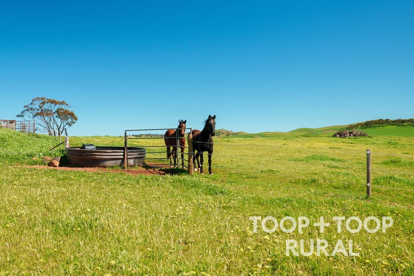 Click to view all images 965 Eudunda Road Dutton SA 5356 - Image 3