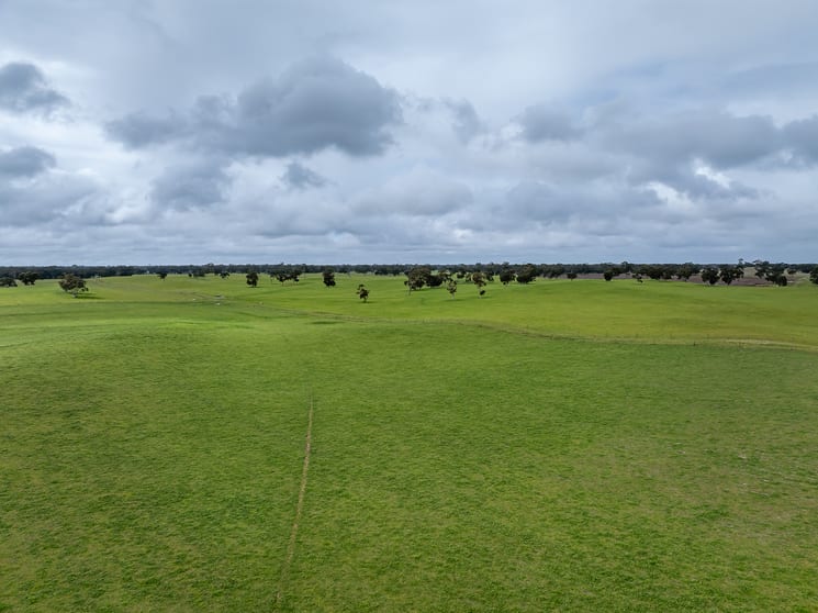 Click to view all images 3373 Naracoorte Road Western Flat SA 5268 - Image 1