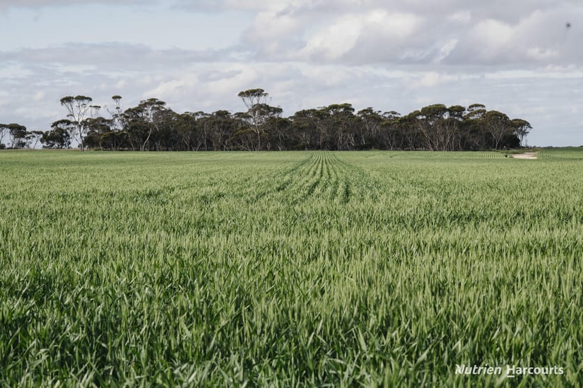 Click to view all images Lot 491 Parmango Road Beaumont WA 6450 - Image 2