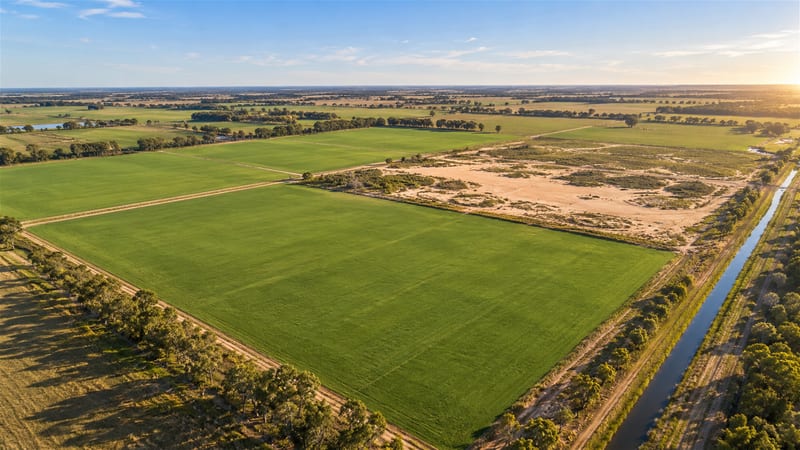 Mining / Earth Moving  business for sale in Kyabram - Image 2