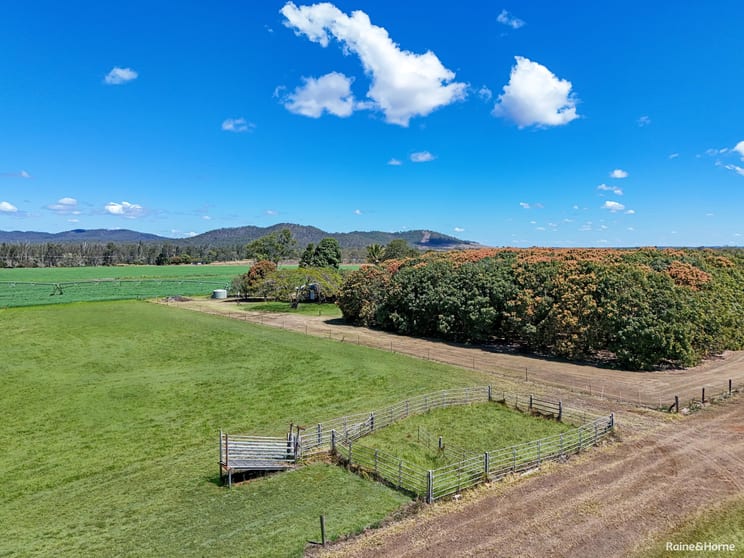 843 Herbert River Road Innot Hot Springs QLD 4872 - Image 3