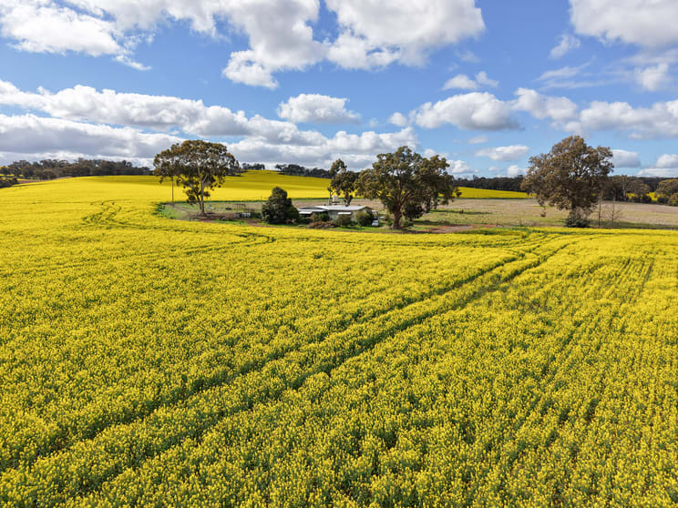 1813 Fisher Road Mobrup WA 6395 - Image 2
