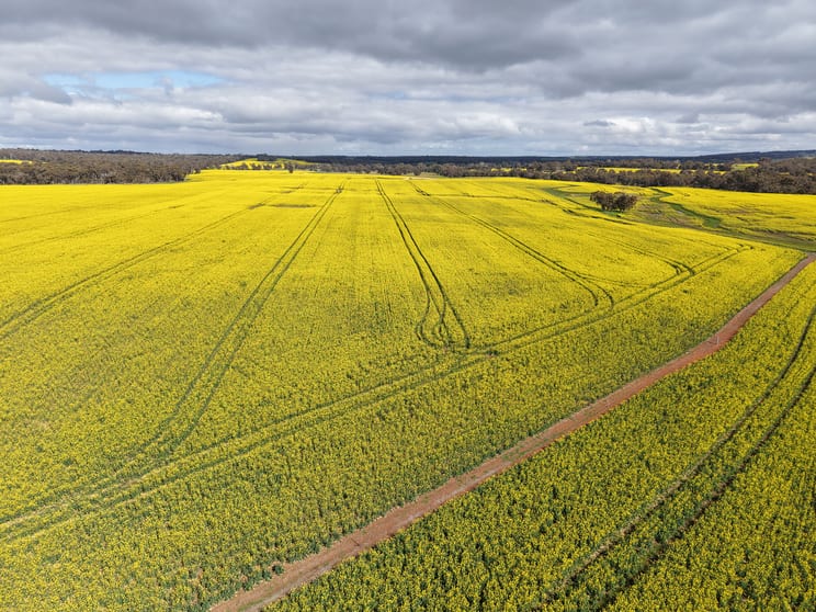 1813 Fisher Road Mobrup WA 6395 - Image 3