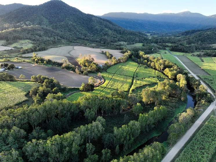 Lot 4 Primroses Road Finch Hatton QLD 4756 - Image 1
