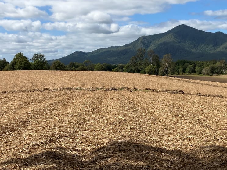 Lot 7 Primroses Road Finch Hatton QLD 4756 - Image 3