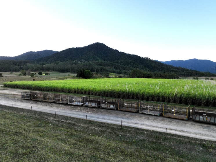 Lot 7 Primroses Road Finch Hatton QLD 4756 - Image 2