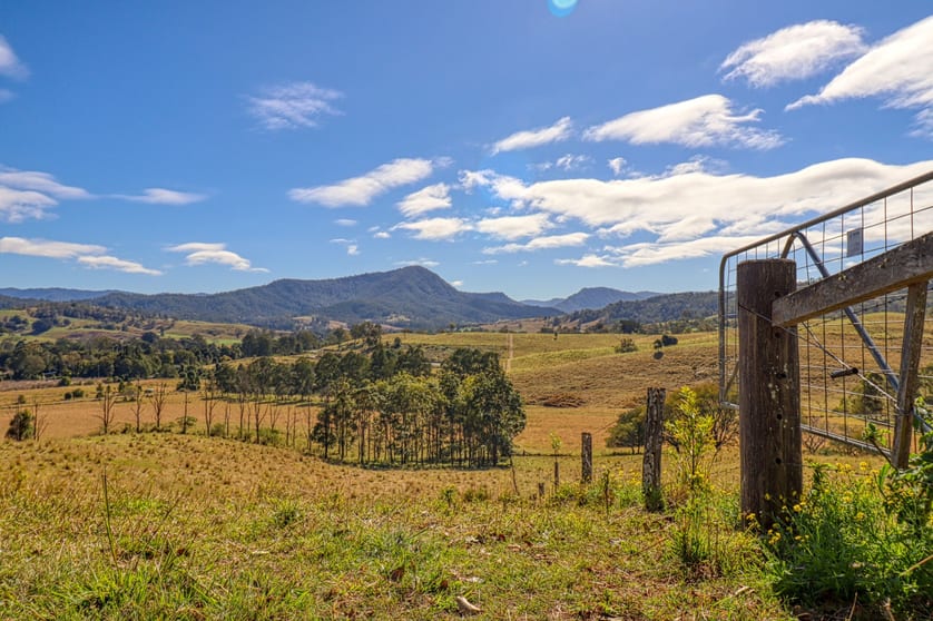 Lot 29, 46 Lynches Creek Road Wiangaree NSW 2474 - Image 3