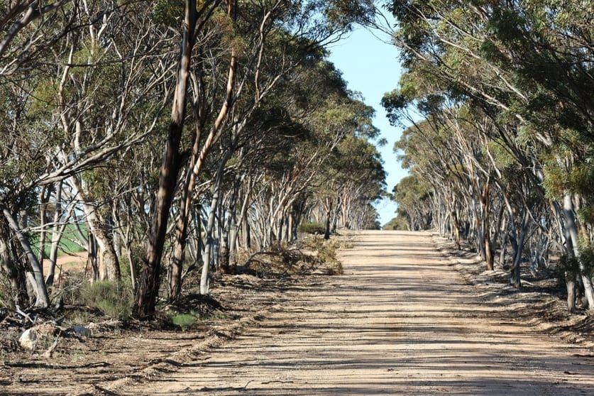 1215 Ainsworth Road Salmon Gums WA 6445 - Image 1