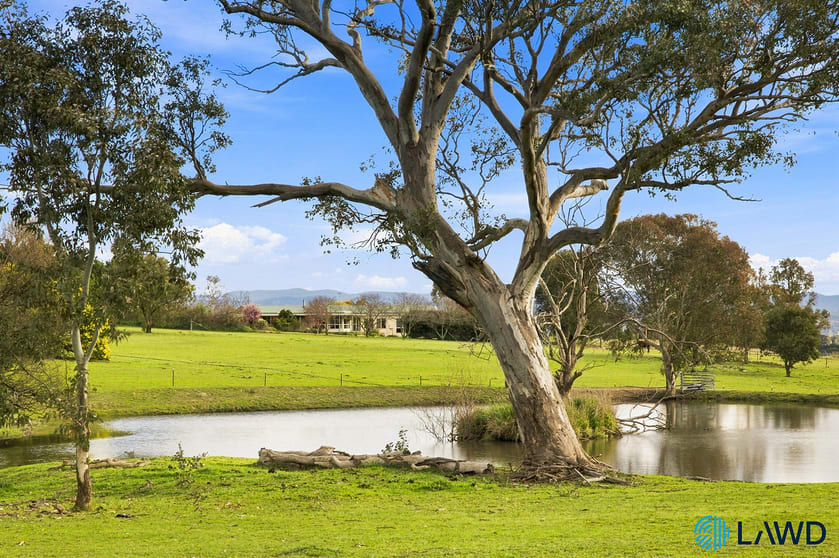 24 Blue Hills Lane Murrumbateman NSW 2582 - Image 3