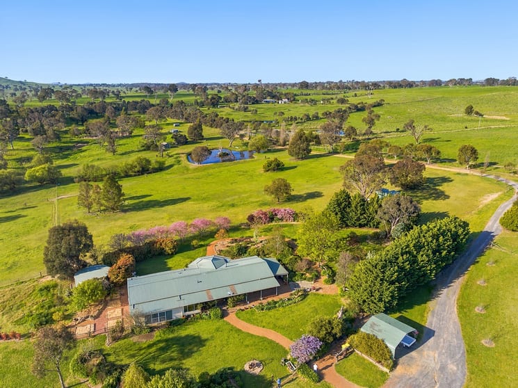 24 Blue Hills Lane Murrumbateman NSW 2582 - Image 2