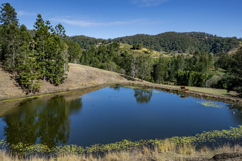 Click to view all images 119 Perrys Road Kidaman Creek QLD 4574 - Image 1