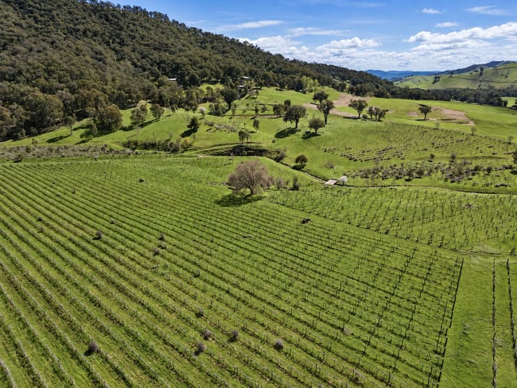 Click to view all images 8792 Murray River Road Walwa VIC 3709 - Image 3