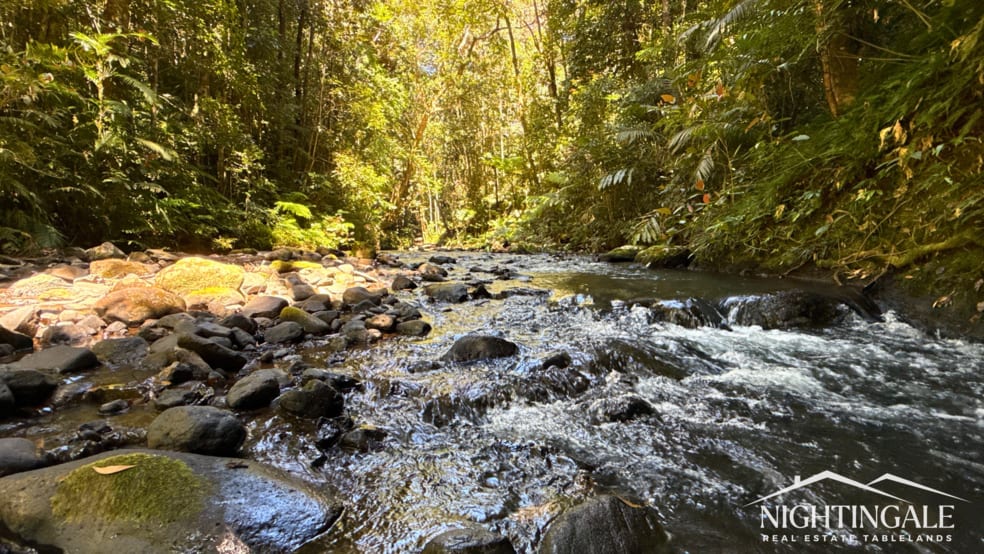 Click to view all images 499 Old Cairns Track Butchers Creek QLD 4885 - Image 1