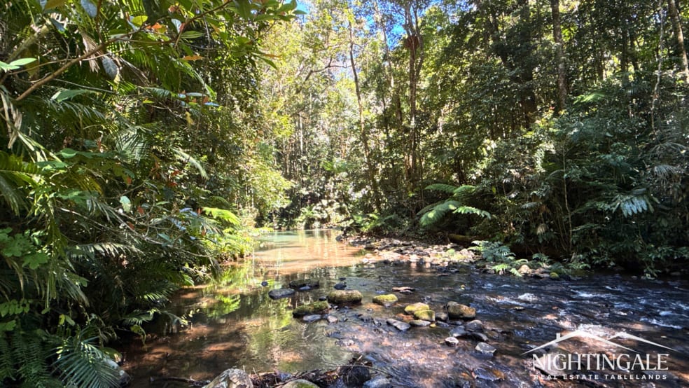 Click to view all images 499 Old Cairns Track Butchers Creek QLD 4885 - Image 3
