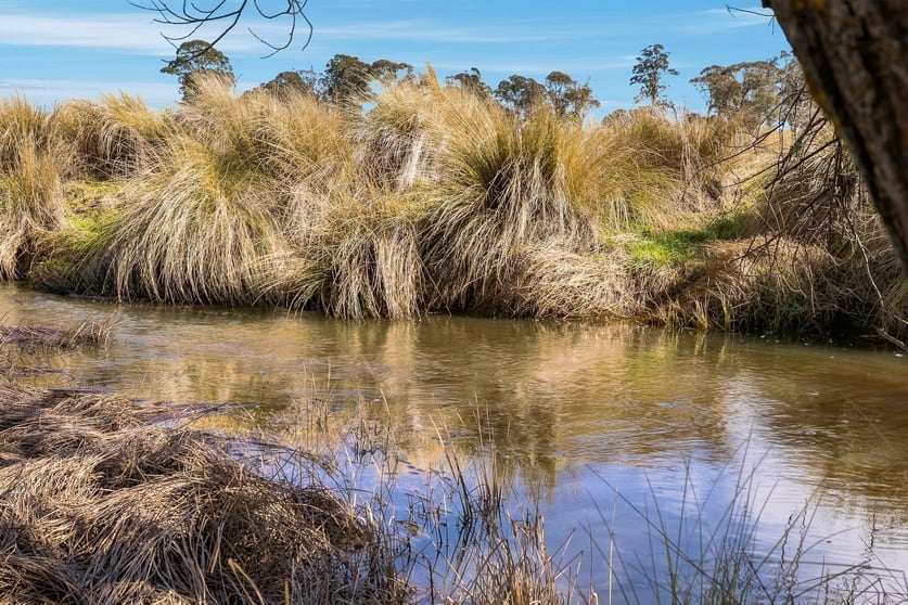 Click to view all images 98 Jerula Road Oberon NSW 2787 - Image 3