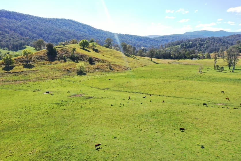 1592 Collins Creek Road Kyogle NSW 2474 - Image 3
