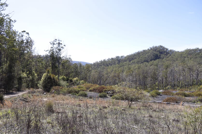 Click to view all images 145 Coalmine Road Nymboida NSW 2460 - Image 3