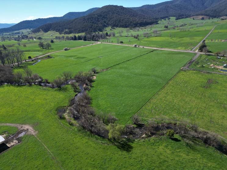 Click to view all images Corner Little Snowy Creek Road Eskdale VIC 3701 - Image 2