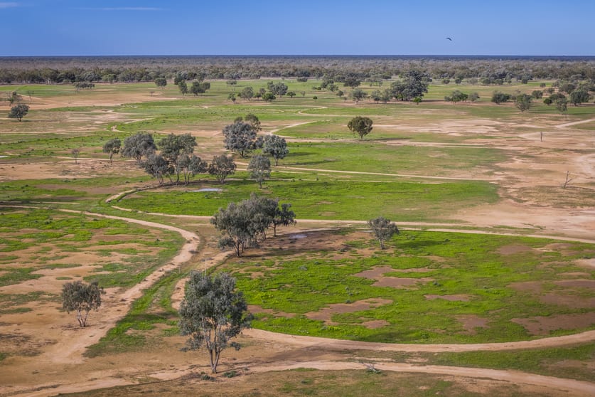Click to view all images 10415 Arthur Hall VC Way Brewarrina NSW 2839 - Image 3