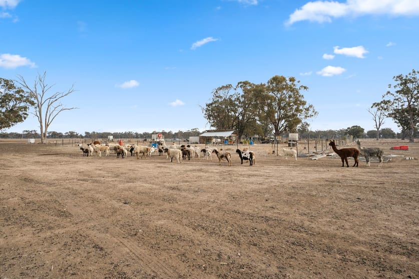 Click to view all images 424 Arcadia Two Chain Road Arcadia South VIC 3631 - Image 2