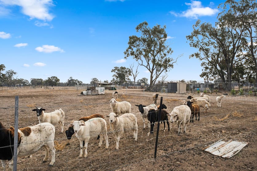 Click to view all images 424 Arcadia Two Chain Road Arcadia South VIC 3631 - Image 3